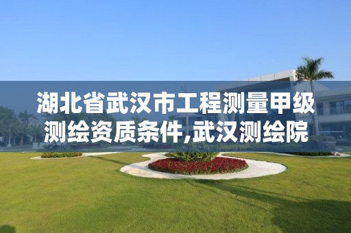 湖北省武汉市工程测量甲级测绘资质条件,武汉测绘院是什么级别。