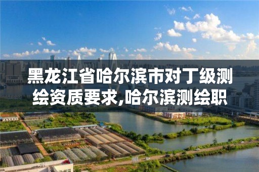 黑龙江省哈尔滨市对丁级测绘资质要求,哈尔滨测绘职工中等专业学校。