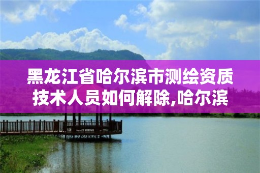 黑龙江省哈尔滨市测绘资质技术人员如何解除,哈尔滨测绘局是干什么的。