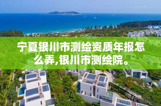 宁夏银川市测绘资质年报怎么弄,银川市测绘院。