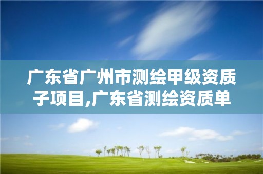 广东省广州市测绘甲级资质子项目,广东省测绘资质单位名单。