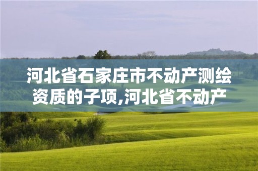 河北省石家庄市不动产测绘资质的子项,河北省不动产测绘收费标准。