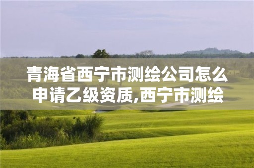 青海省西宁市测绘公司怎么申请乙级资质,西宁市测绘院改企业。