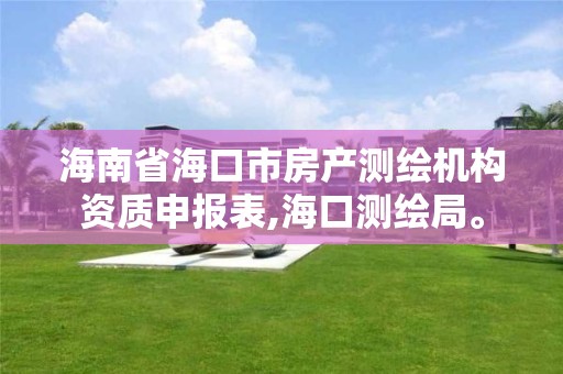 海南省海口市房产测绘机构资质申报表,海口测绘局。