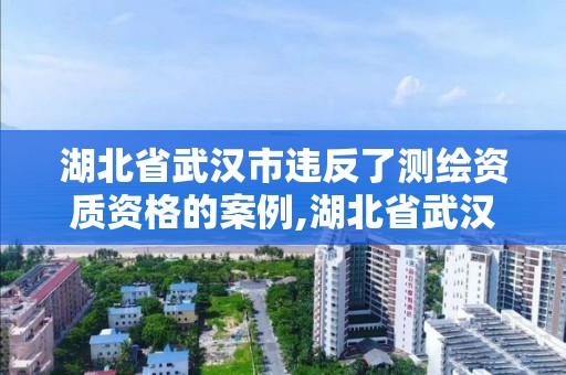 湖北省武汉市违反了测绘资质资格的案例,湖北省武汉市违反了测绘资质资格的案例有哪些。