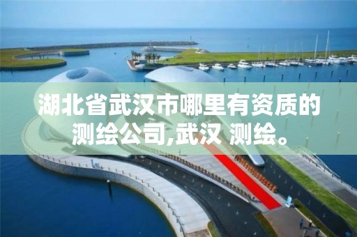 湖北省武汉市哪里有资质的测绘公司,武汉 测绘。