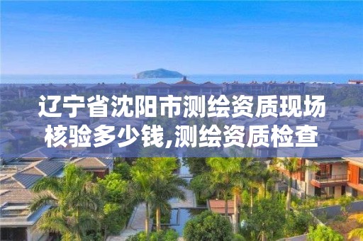 辽宁省沈阳市测绘资质现场核验多少钱,测绘资质检查都检查啥。