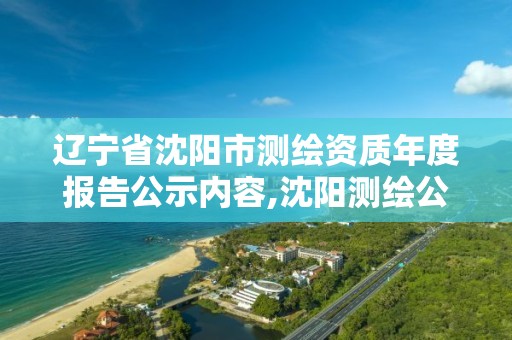 辽宁省沈阳市测绘资质年度报告公示内容,沈阳测绘公司哪家强哪家好。