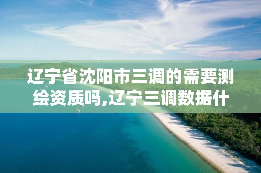 辽宁省沈阳市三调的需要测绘资质吗,辽宁三调数据什么时候启用。