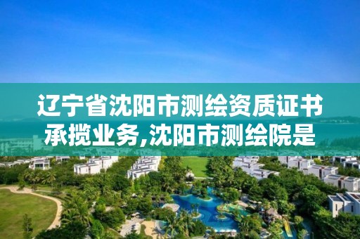 辽宁省沈阳市测绘资质证书承揽业务,沈阳市测绘院是什么单位。