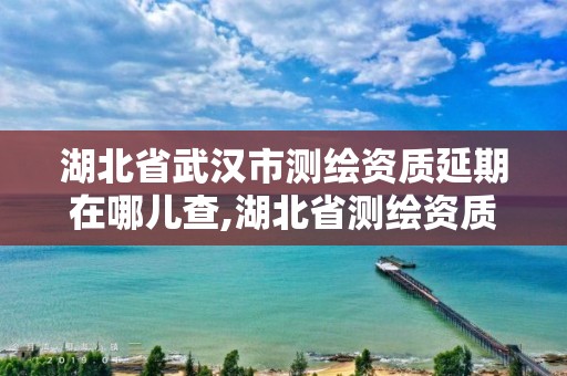 湖北省武汉市测绘资质延期在哪儿查,湖北省测绘资质延期一年。