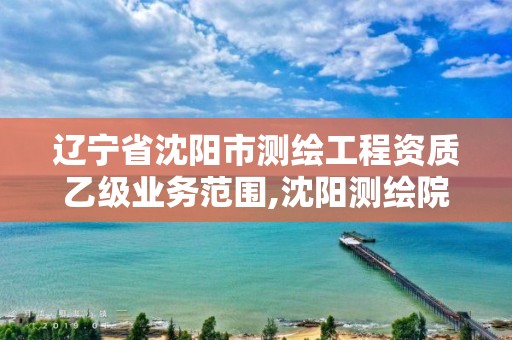 辽宁省沈阳市测绘工程资质乙级业务范围,沈阳测绘院招聘。