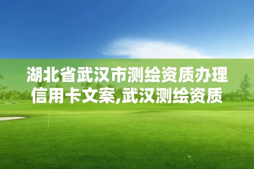 湖北省武汉市测绘资质办理信用卡文案,武汉测绘资质代办。