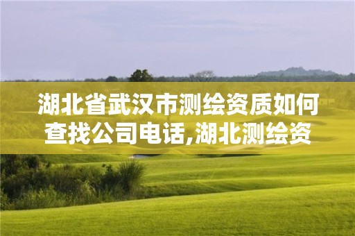 湖北省武汉市测绘资质如何查找公司电话,湖北测绘资质查询。