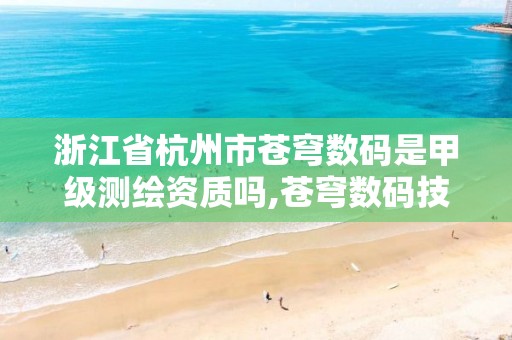 浙江省杭州市苍穹数码是甲级测绘资质吗,苍穹数码技术有限公司。