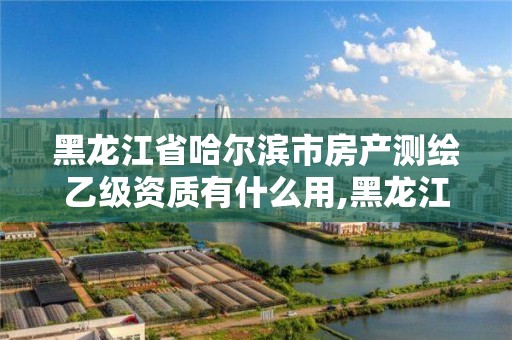 黑龙江省哈尔滨市房产测绘乙级资质有什么用,黑龙江测绘公司乙级资质。