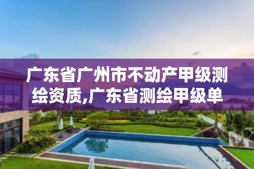 广东省广州市不动产甲级测绘资质,广东省测绘甲级单位。