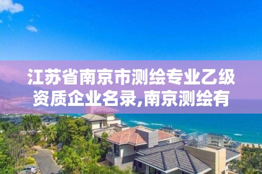 江苏省南京市测绘专业乙级资质企业名录,南京测绘有限公司。