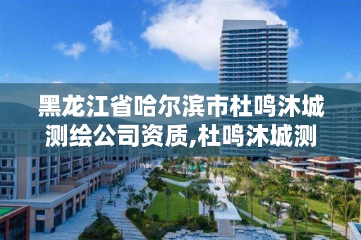 黑龙江省哈尔滨市杜鸣沐城测绘公司资质,杜鸣沐城测绘北京有限公司。