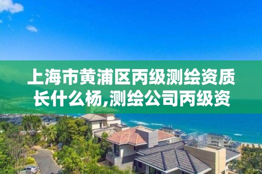 上海市黄浦区丙级测绘资质长什么杨,测绘公司丙级资质要求。