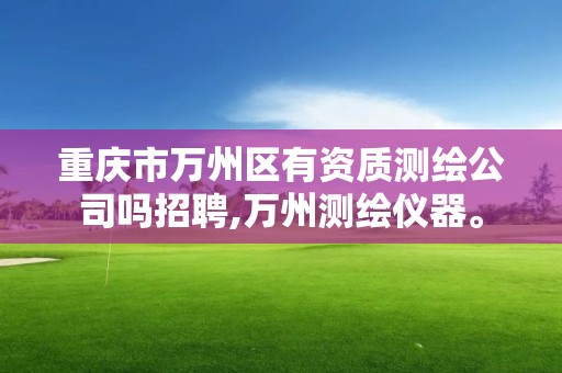 重庆市万州区有资质测绘公司吗招聘,万州测绘仪器。