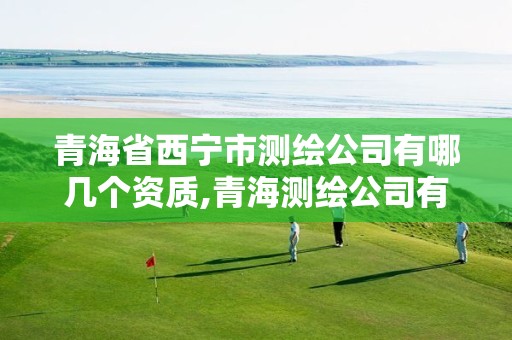 青海省西宁市测绘公司有哪几个资质,青海测绘公司有哪些。