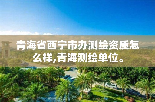 青海省西宁市办测绘资质怎么样,青海测绘单位。