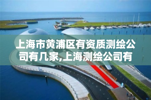 上海市黄浦区有资质测绘公司有几家,上海测绘公司有哪几家。