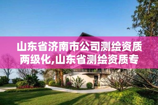 山东省济南市公司测绘资质两级化,山东省测绘资质专用章 丁级。