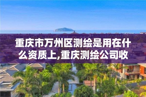 重庆市万州区测绘是用在什么资质上,重庆测绘公司收费标准。