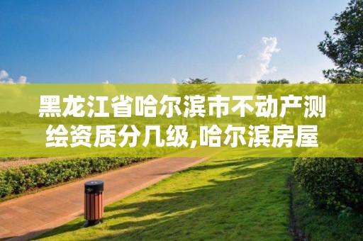 黑龙江省哈尔滨市不动产测绘资质分几级,哈尔滨房屋测绘。