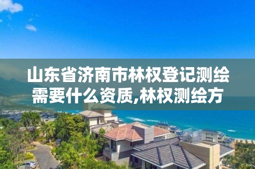 山东省济南市林权登记测绘需要什么资质,林权测绘方案。