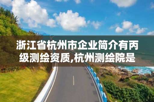 浙江省杭州市企业简介有丙级测绘资质,杭州测绘院是什么单位。