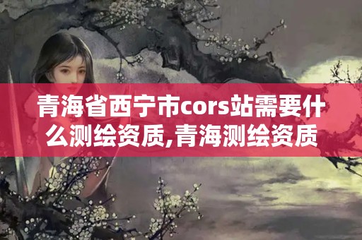 青海省西宁市cors站需要什么测绘资质,青海测绘资质办理。