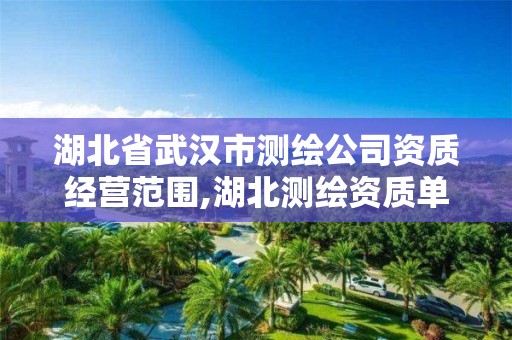 湖北省武汉市测绘公司资质经营范围,湖北测绘资质单位。