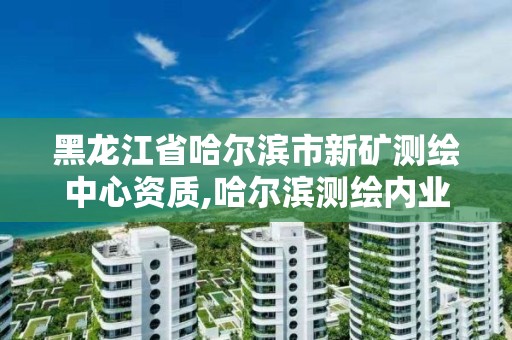 黑龙江省哈尔滨市新矿测绘中心资质,哈尔滨测绘内业招聘信息。