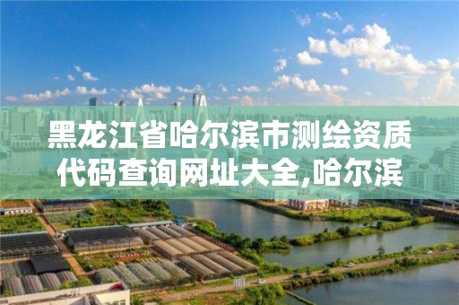 黑龙江省哈尔滨市测绘资质代码查询网址大全,哈尔滨测绘局在哪。