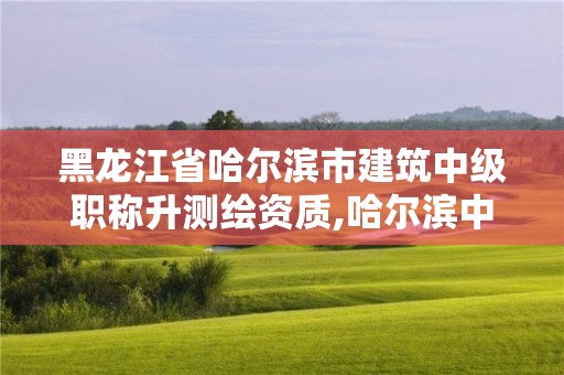 黑龙江省哈尔滨市建筑中级职称升测绘资质,哈尔滨中级职称评审。