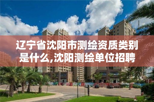 辽宁省沈阳市测绘资质类别是什么,沈阳测绘单位招聘。