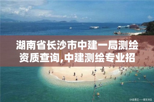 湖南省长沙市中建一局测绘资质查询,中建测绘专业招聘信息。