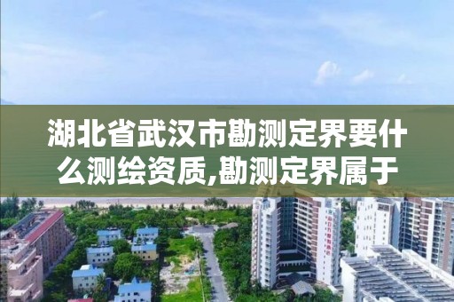 湖北省武汉市勘测定界要什么测绘资质,勘测定界属于工程测量吗。