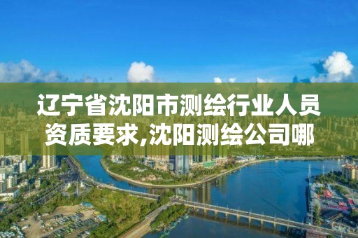 辽宁省沈阳市测绘行业人员资质要求,沈阳测绘公司哪家强哪家好。