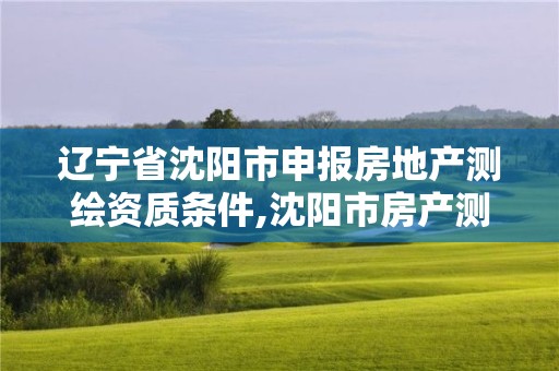 辽宁省沈阳市申报房地产测绘资质条件,沈阳市房产测绘大队电话。