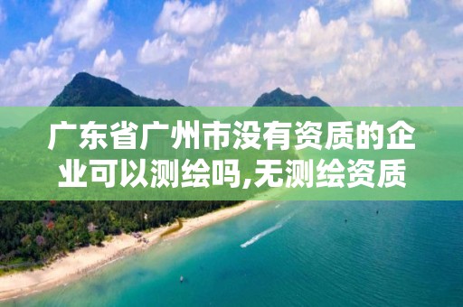 广东省广州市没有资质的企业可以测绘吗,无测绘资质公司进行测绘的后果。