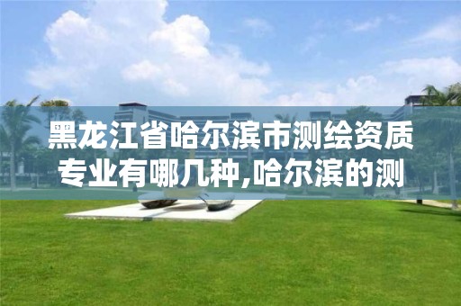 黑龙江省哈尔滨市测绘资质专业有哪几种,哈尔滨的测绘公司有哪些。