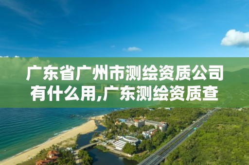 广东省广州市测绘资质公司有什么用,广东测绘资质查询。