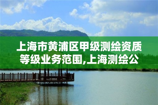 上海市黄浦区甲级测绘资质等级业务范围,上海测绘公司排名名单。