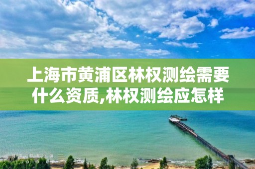 上海市黄浦区林权测绘需要什么资质,林权测绘应怎样收费。