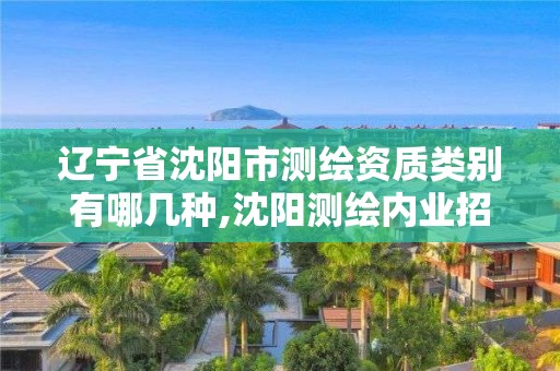 辽宁省沈阳市测绘资质类别有哪几种,沈阳测绘内业招聘信息。