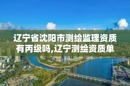 辽宁省沈阳市测绘监理资质有丙级吗,辽宁测绘资质单位。